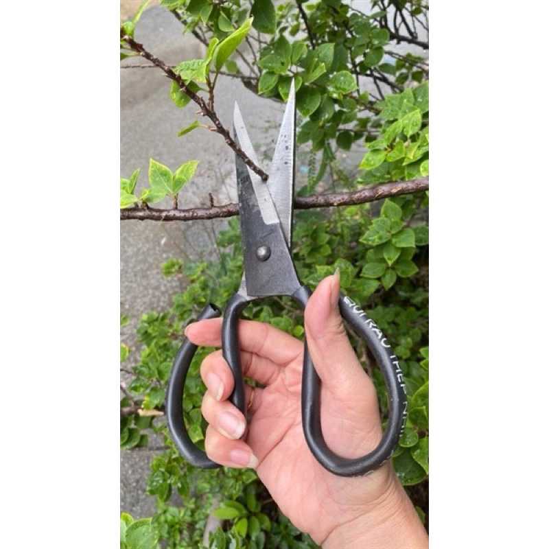 combo-dao-nha-bep-8 Combo dao nhà bếp, mua 1 được 4