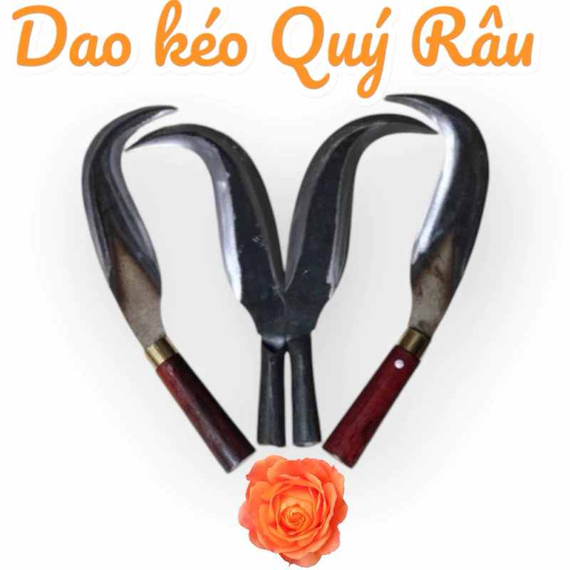 Dao Rửa Dừa làm từ nhíp xe ô tô
