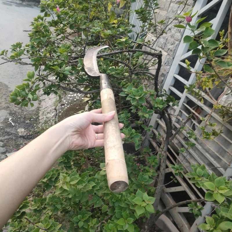 rua-chat-cay-thep-Lien-Xo-3 Rựa chặt cây làm từ thép Liên Xô